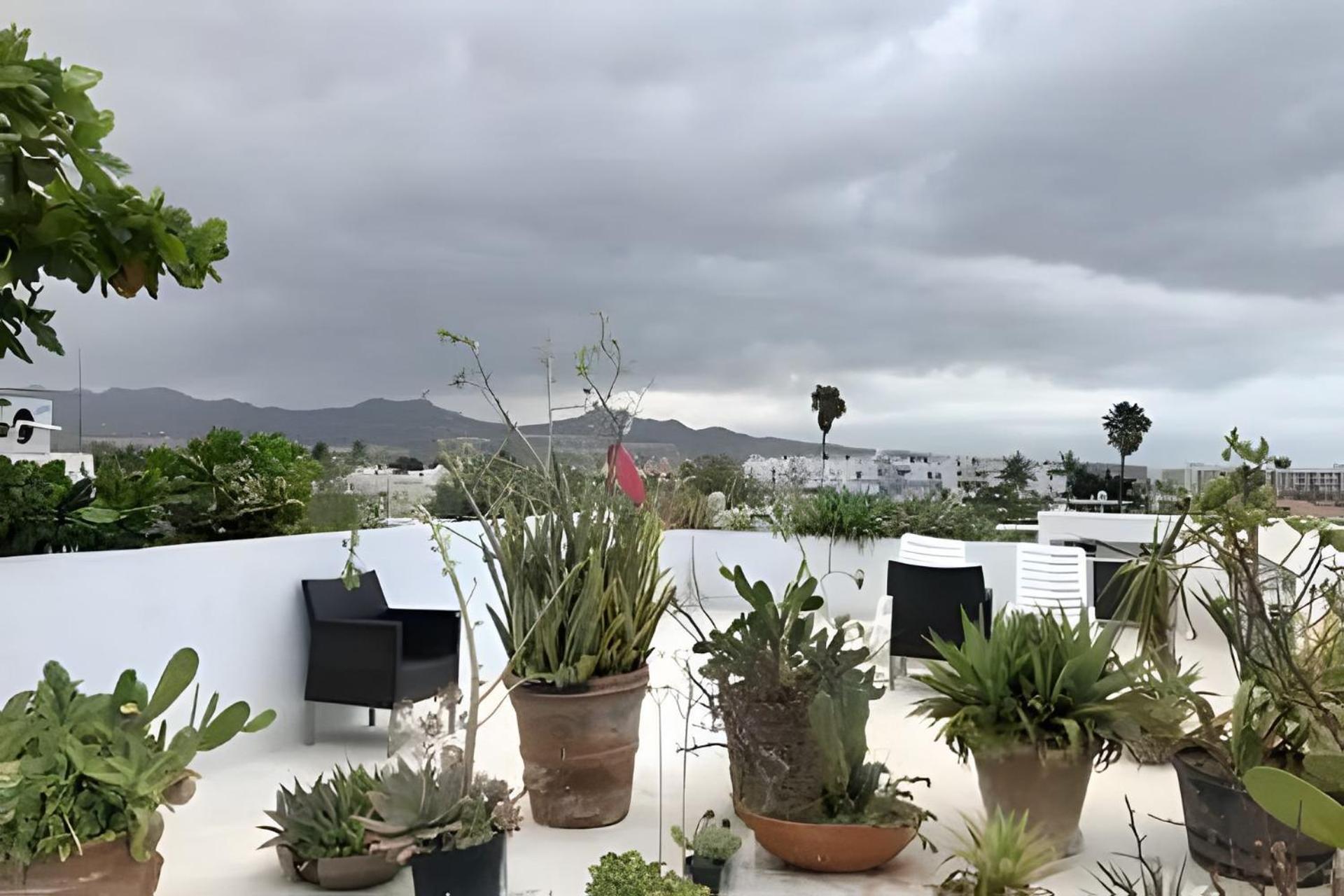 Apartamento 12 De Octubre Cabo San Lucas Exterior foto