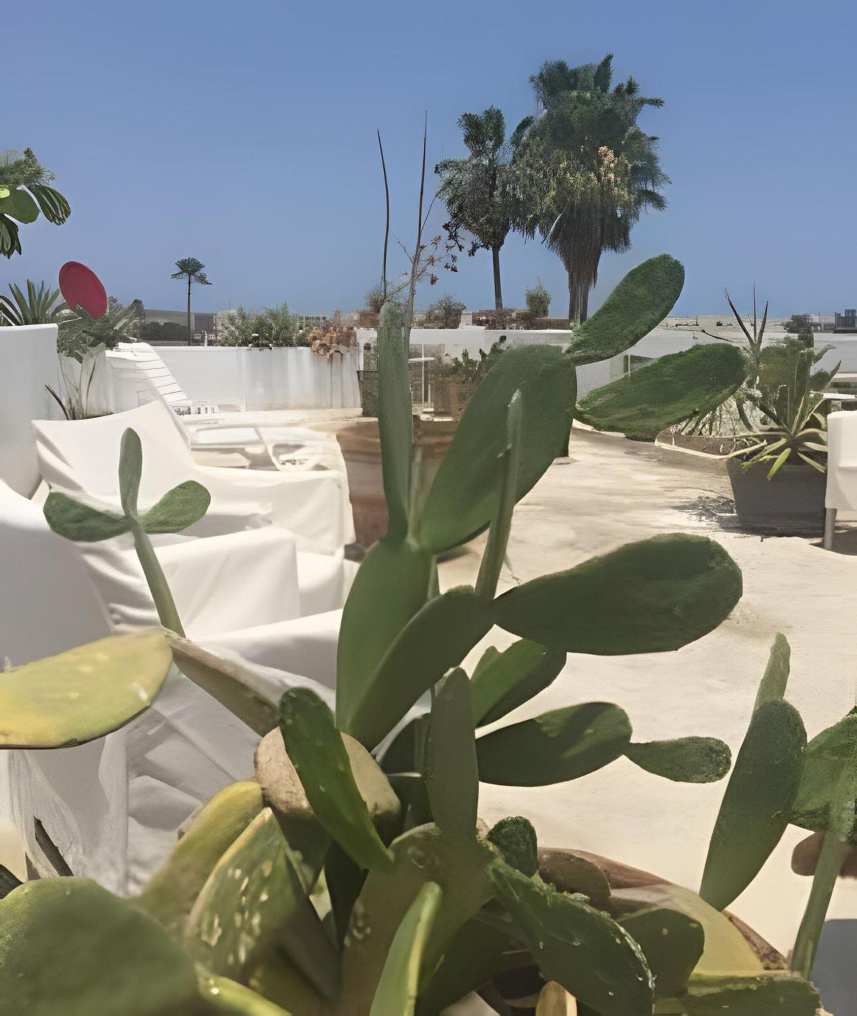 Apartamento 12 De Octubre Cabo San Lucas Exterior foto